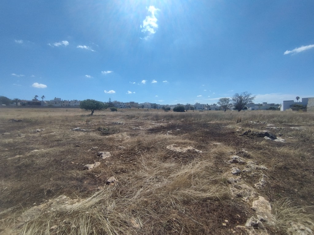 Giano Group Immobiliare